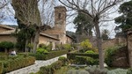 Vrt v dvoru Alhambra