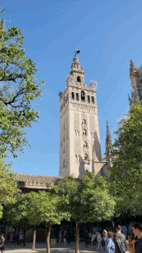 Stolp Giralda ob katedrali v Sevilli