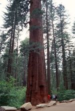 scan015.jpg