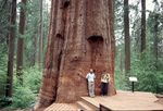 scan017.jpg