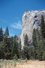 scan047.jpg