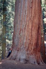 scan076.jpg