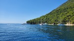 20260708_113119.jpg