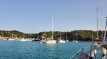 20260726_191916.jpg