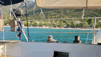 Palme na plaži Bijavka